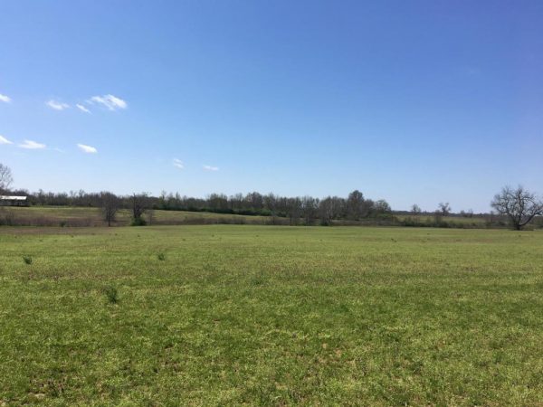 Horse Farms For Sale Lexington KY, Land & Estates | Kirkpatrick & Co.